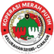 logo kmp trans